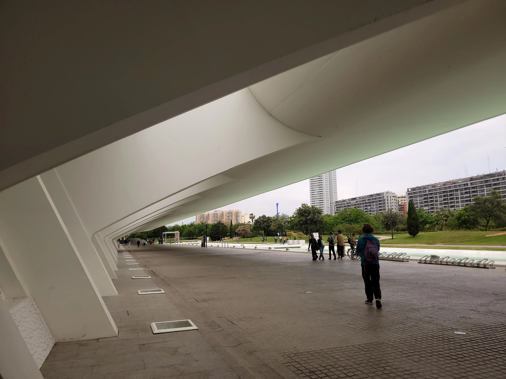 Wissenschaftsstadt Valencia - Außenwand des Museums